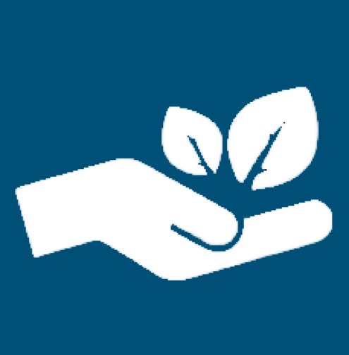 الأخلاقيات